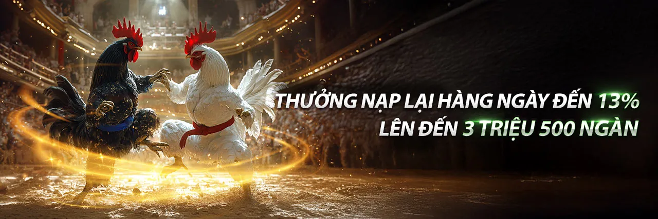 Đá Gà Trực Tuyến Hấp Dẫn tại 100vip app